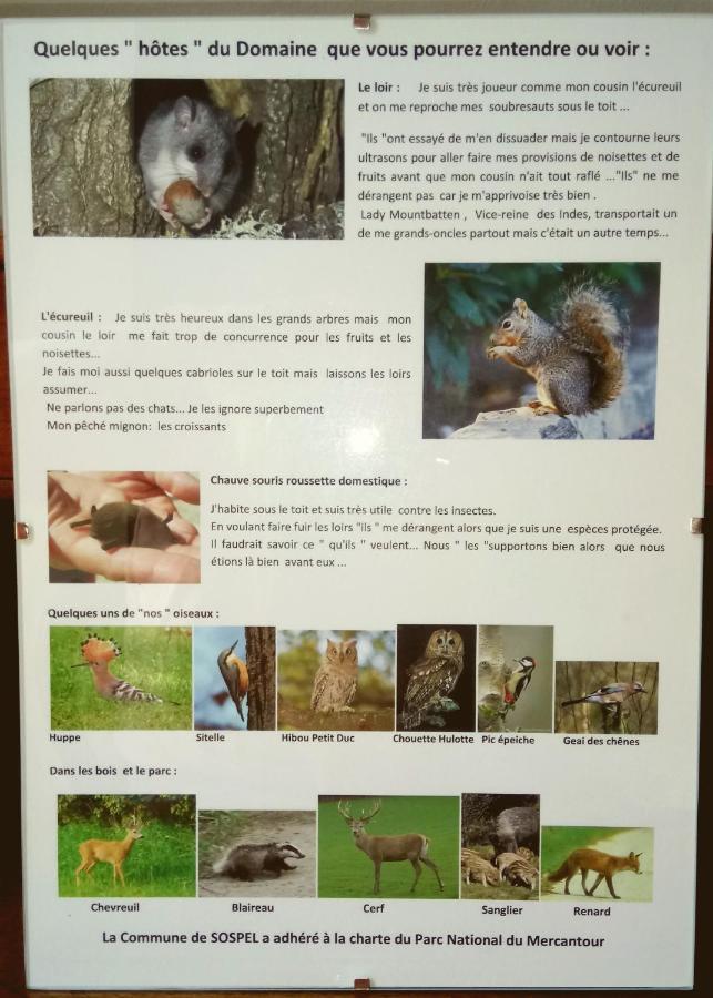 Domaine Du Parais B&B Sospel Eksteriør bilde