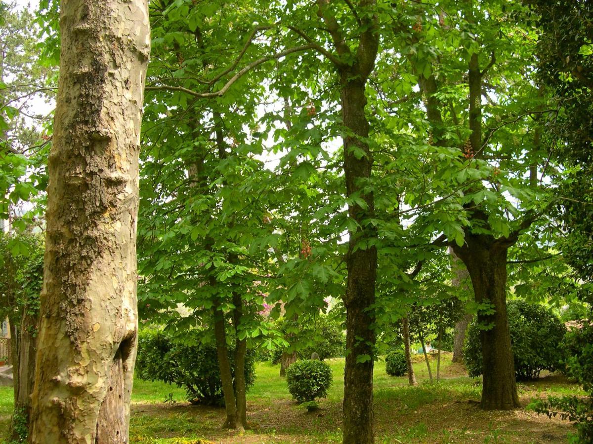 Domaine Du Parais B&B Sospel Eksteriør bilde